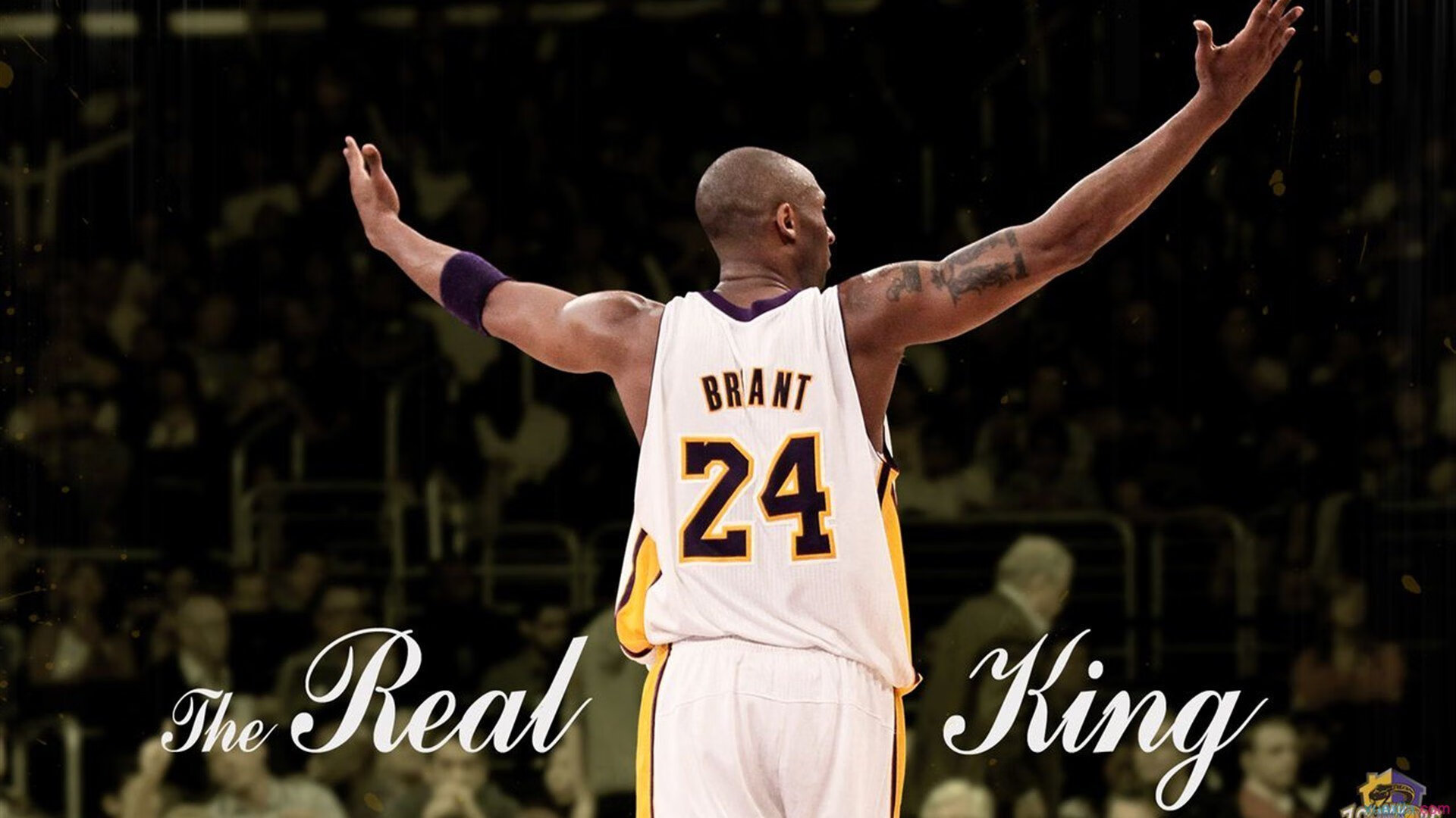 新兴运动热潮席卷全球，传统体育之外的活力选择